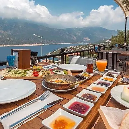 Hillcity (adults Only) 3*