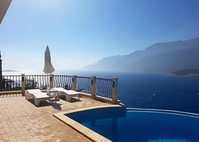 Hillcity (adults Only) カシュ